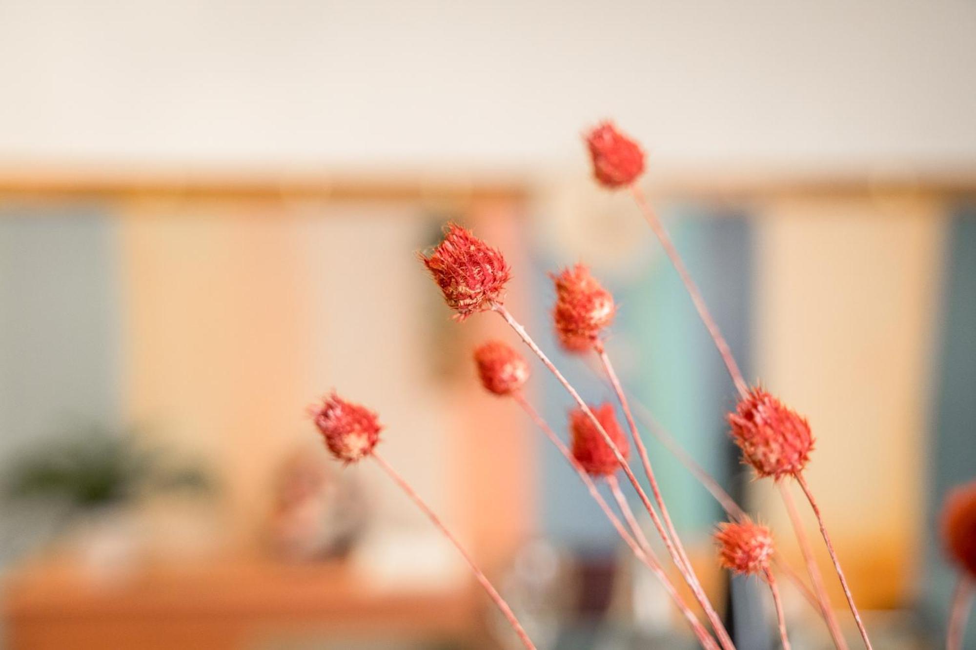 Casa Emilia - * In The Heart Of Modena * Apartment Екстериор снимка